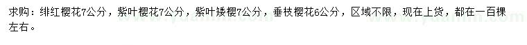 求購緋紅櫻花、紫葉櫻花、紫葉矮櫻等