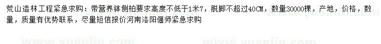 求購高不低于1.7米側(cè)柏