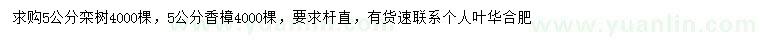 求購5公分欒樹、香樟