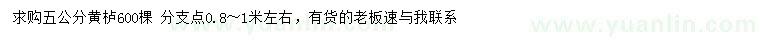 求購5公分黃櫨