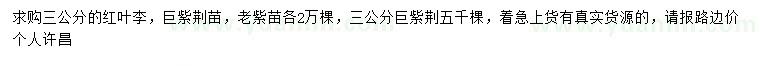 求購(gòu)3公分紅葉李、巨紫荊