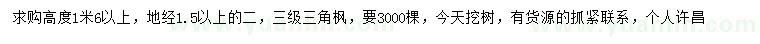 求購(gòu)高1.6米以上三角楓