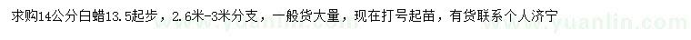 求購13.5起步14公分白蠟