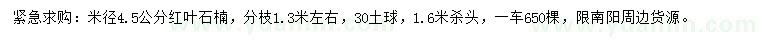 求購米徑4.5公分紅葉石楠