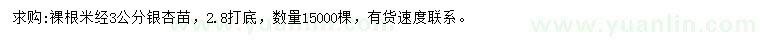 求購米徑3公分銀杏
