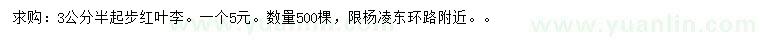求購3.5公分起步紅葉李