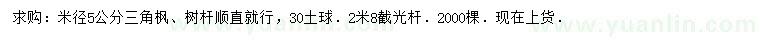 求購米徑5公分三角楓