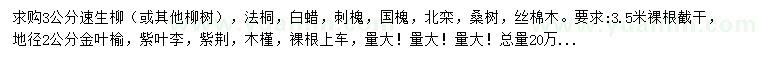 求購速生柳、法桐、白蠟等