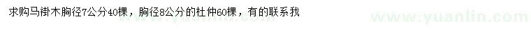 求購胸徑7公分馬褂木、8公分杜仲