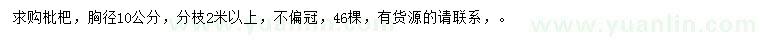 求購胸徑10公分枇杷