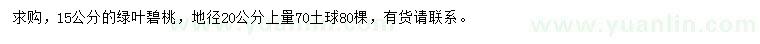 求購15公分綠葉碧桃