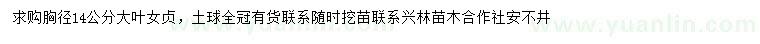 求購胸徑14公分大葉女貞