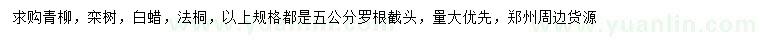 求購(gòu)青柳、欒樹、白蠟等