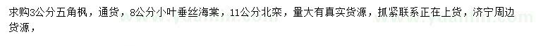求購五角楓、垂絲海棠、北欒