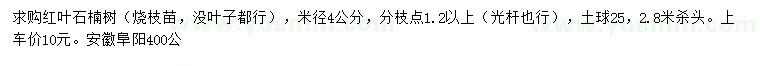 求購(gòu)米徑4公分紅葉石楠