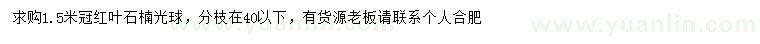 求購(gòu)冠1.5米紅葉石楠光球