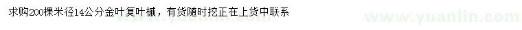 求購米徑14公分金葉復葉槭
