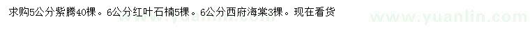 求購紫藤、紅葉石楠、西府海棠