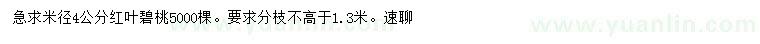 求購米徑4公分紅葉碧桃