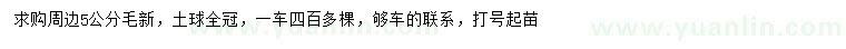 求購5公分毛新