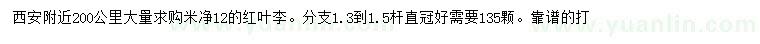 求購(gòu)米徑12公分紅葉李
