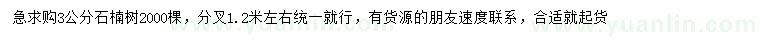 求購(gòu)3公分石楠樹(shù)