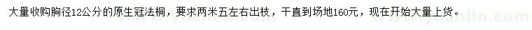 求購胸徑12公分法桐