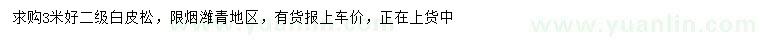 求購3米白皮松