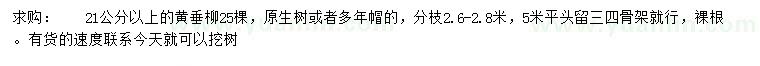 求購21公分以上黃垂柳
