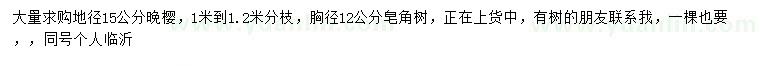 求購(gòu)地徑15公分晚櫻