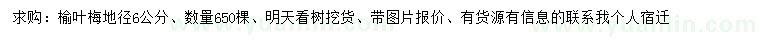 求購地徑6公分榆葉梅