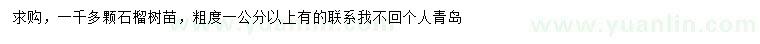 求購(gòu)粗1公分以上石榴樹