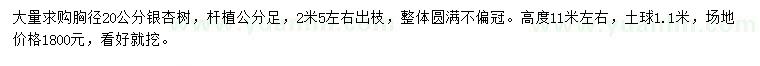 求購胸徑20公分銀杏
