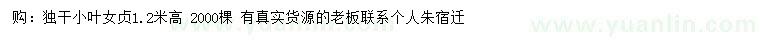 求購(gòu)高1.2米獨(dú)桿小葉女貞