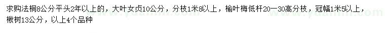 求購法桐、大葉女貞、榆葉梅等