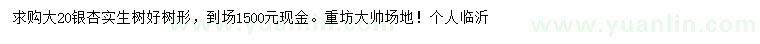 求購(gòu)20公分銀杏