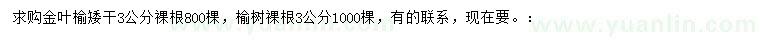 求購(gòu)3公分金葉榆、榆樹(shù)