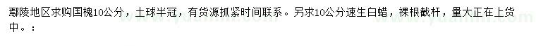 求購10公分國槐、10公分速生白蠟