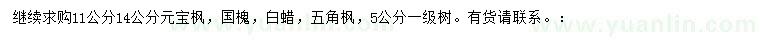 求購元寶楓、國槐、白蠟等