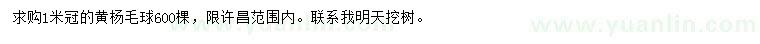 求購(gòu)冠幅1米黃楊球