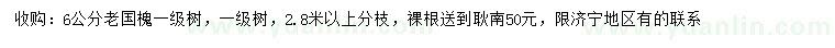 求購(gòu)6公分老國(guó)槐