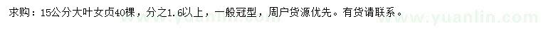 求購(gòu)15公分大葉女貞