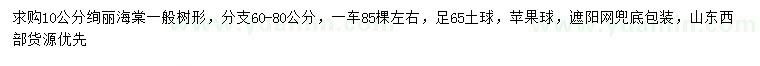 求購10公分絢麗海棠
