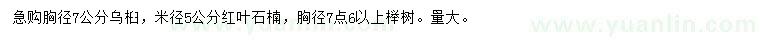 求購烏桕、紅葉石楠、櫸樹