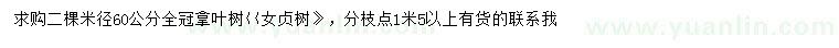 求購米徑60公分女貞