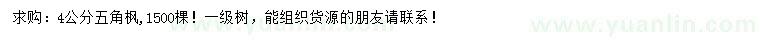 求購4公分五角楓