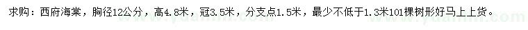 求購胸徑12公分西府海棠