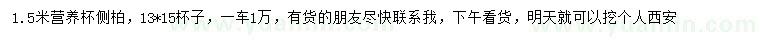 求購(gòu)1.5米側(cè)柏
