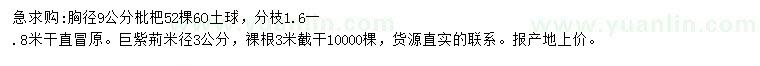 求購胸徑9公分枇杷、米徑3公分巨紫荊