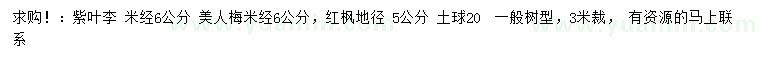 求購紫葉李、美人梅、紅楓